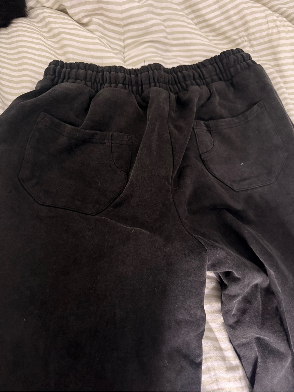 Ditch Rivet Sweatpants - Picture 4 of 8